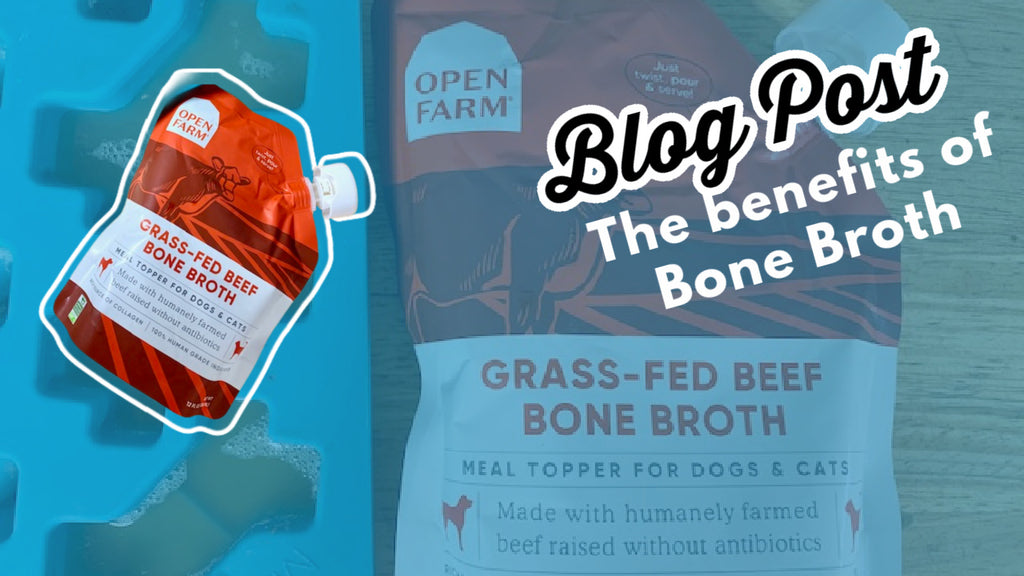 The benefits of adding Bone Broth to your dogs meal 🦴