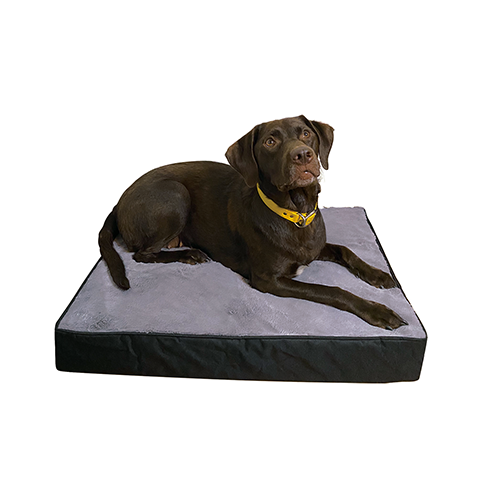 Ruff Love - Orthopaedic Dog Bed