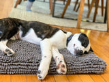 Dog Gone Smart - Dirty Dog - Cushion Pad