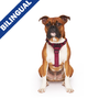 Canada Pooch - Complete Control Harness - Plum
