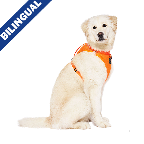 Canada Pooch - The Everything Harness - Mesh Series - Orange