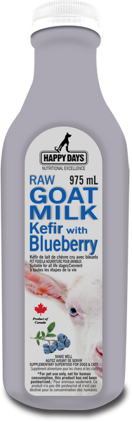 Happy Days - Frozen Raw Goat Milk Kefir With Blueberries