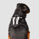 Canada Pooch - Everything Harness - Reflective