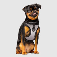 Canada Pooch - Everything Harness - Reflective