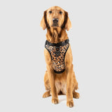 Canada Pooch - Everything Harness - Leopard