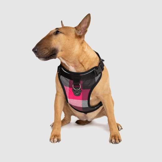 Canada Pooch - Everything Harness - Pink Plaid