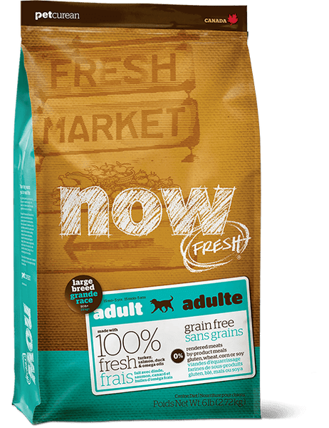 Now Fresh - Grain Free - Adult - Large Breed