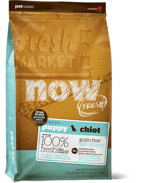 Now Fresh - Grain Free - Puppy - Large Breed