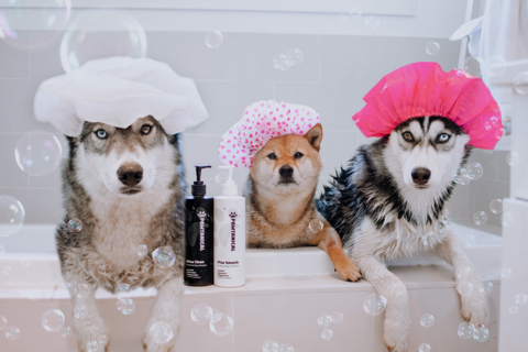 Pawtanical sPaw Clean All Natural Dog Shampoo