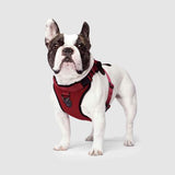Canada Pooch - Everything Harness - Red