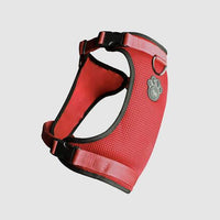 Canada Pooch - Everything Harness - Red