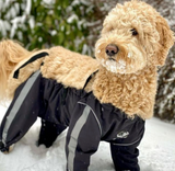FouFou Dog - Bodyguard Dog Pants