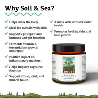 Adored Beast Primordial Pre & Probiotics Soil & Sea: A hand holding the supplement jar against a backdrop of rich soil and ocean waves.  Showing the reasons why to choose Soil & Sea.