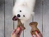 Benebone - Puppy - Dog Chew
