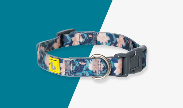Be One Breed - Silicone Collar - Autumn Flowers