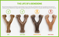 Benebone - Wishbone - Dog Chew
